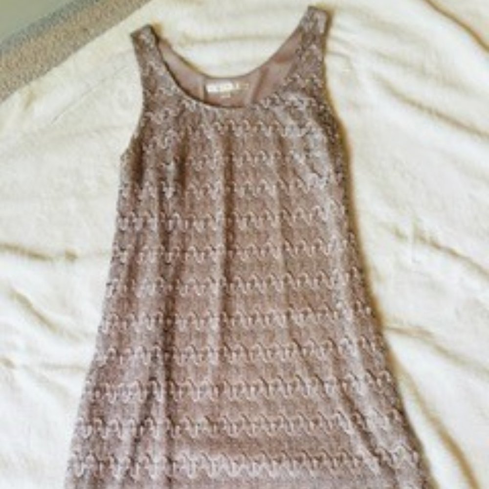 Boston Proper silver dress